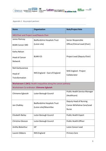 BLMK Luton Outcomes Report Appendices