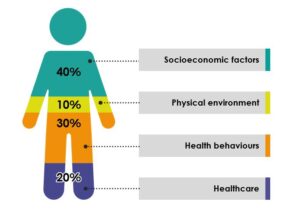 Person with percentages which contribute to health infographic. 40% socioeconomic factors, 10% physical environment, 30% health behaviours, 20% healthcare