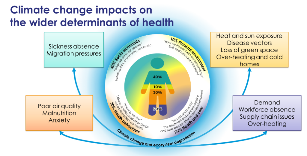 Climate change impacts on the wider determinants of health