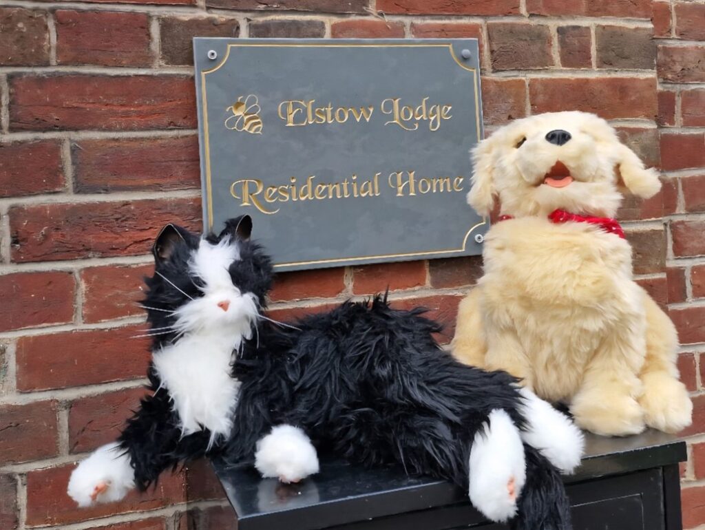 A black and white robotic cat and a sandy-coloured robotic dog with a red collar.  They are sitting under a sign which says Elstow Lodge Residential Home.